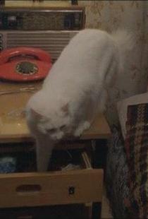 黑暗之中