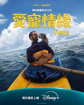 爱宠情缘